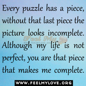 Every-puzzle-has-a-piece-without-that-last-piece-the-picture-looks ...