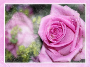 Uploaded with Pinterest Android app. Get it here: http://bit.ly/w38r4m