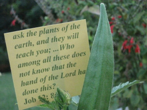 image caption: ask the plants of the earth, and they will teach you ...