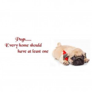 Pug Quote Examples: