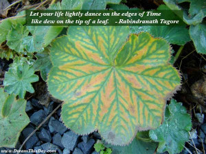 Let your life lightly dance on the edges of Time