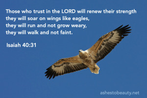 There are so many spiritual lessons we can learn from eagles! But for ...