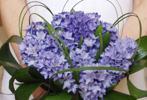 ... /albums/tt191/deivika/blue-wedding-decorations-hyacinth-bouquet.jpg