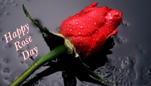 Happy Rose day Sms & Quotes for Whatsapp , Facbook , Wechat , Twiiter ...