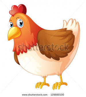 photo-illustration-of-a-mother-hen-on-a-white-background-129880100.jpg ...