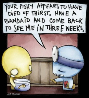 Pon and Zi/Azuzephre cartoons pon & zi ♥