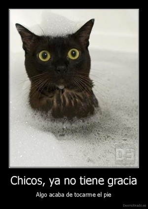 imagenes divertidas desmotivaciones, desmotivacion divertidas ...