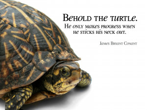 Behold the turtle