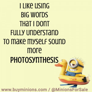 Funny Quotes With Minions