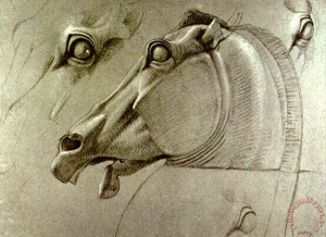 Horse Head Sketch Painting...