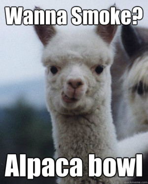 wanna smoke alpaca bowl - ALPACA