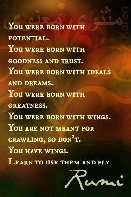Learn to fly --- Rumi quote