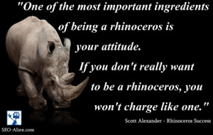 Rhino-attitude.jpg
