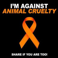 quotes animals quote awareness I am far from PETA but I hate people ...