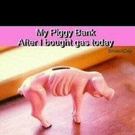 gas prices hit my piggy bank