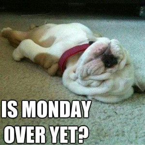 Is Monday over yet?