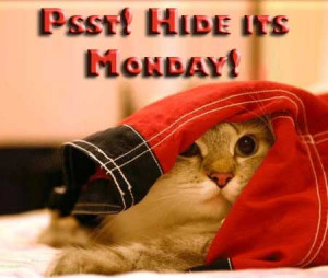 http://www.db45.com/monday/psst-hide-its-monday/