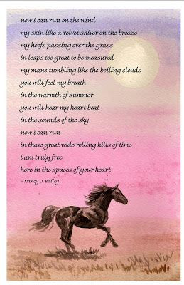 sympathy poem image search resultsHors Poems, Sympathy Horses Quotes ...