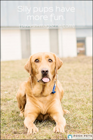 AS DOGS WOULD SAY: DOG QUOTE #12