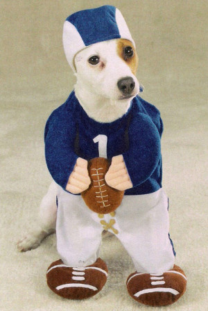 funny dog costume