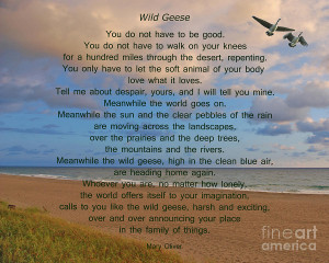 40- Wild Geese Mary Oliver Photograph