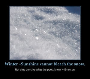 Snow Jokes Forwards Com Funny Emails Cute And Flower Tumblr Picture