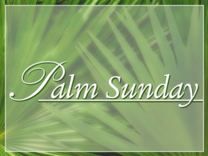palms in the garden matthew 26 36 56 palm sunday the only palms that ...