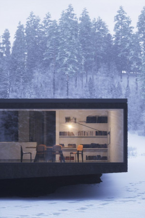... Winter Cabin, Dreams, Modern Cabin, Windows, Architecture, Modern Home
