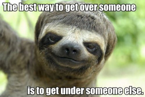 sloths