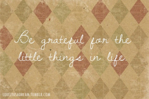 grateful Be grateful for the little things in life. Quote, #quote ...