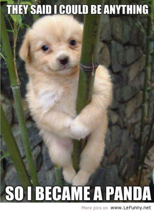 Posted by Jonathan Cordero at 12:47 PM