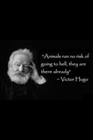 Stop being inhumane to animals