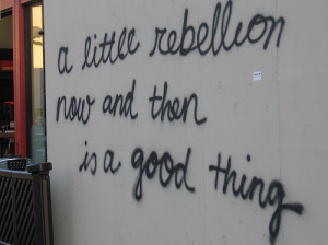 fun, graffiti, hehe, life, politics, quote, rebel, rebelion, rebellion ...