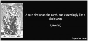 ... rare bird upon the earth, and exceedingly like a black swan. - Juvenal