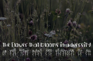 inspirational disney quotes - emperor mulan