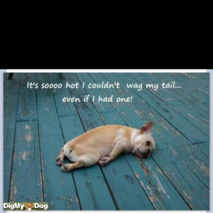 Pinned by Dee Brumit