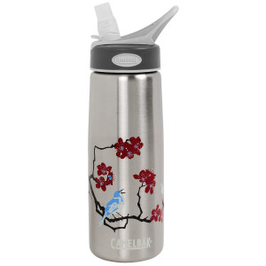 camelbak-better-bottle-water-bottle-075l-stainless-steel-bpa-free-in ...