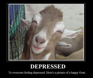 Funny goat sayings.