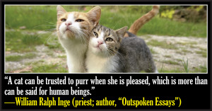 file_1470_what-are-the-most-famous-cat-quotes.jpg