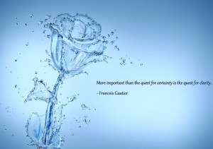 More important than the quest for certainty is the quest for clarity.