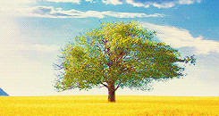 mines the lovely bones such a beautiful movie *scenery