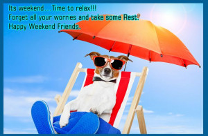 ... Pets, Red Umbrellas, Pets Friends, Dog Pictures, Dogs Pictures, Funny