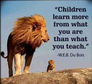 Wisdom, leadership, teaching, hero and learning quote