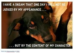 Rottweilers] Click 'LIKE' if this is your dream too for this ...