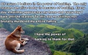 have the power of barking to thank for that meme dog mailman Imgur