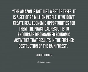 The Amazon is not just a set of trees. It is a set of 25 million ...