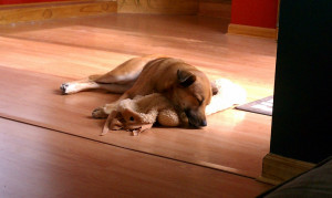 Good Times With Family Quotes