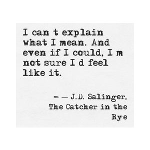 Salinger’s The Catcher in the Rye Quotes from Novels and their ...