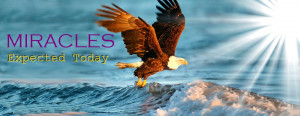 Miracles Expected Today | Daily Bible Verses | Miracles of Jesus