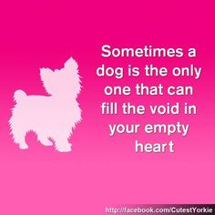 the only one that can fill the void in your empty heart # dogs # pets ...